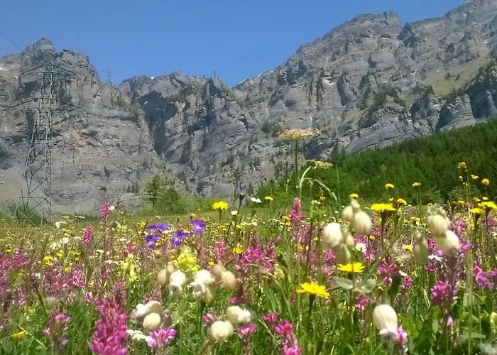 Nocleg ze śniadaniem Ostbach 2*